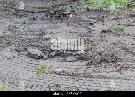 Reifenspuren in einem Fleck Schlamm Stockfoto