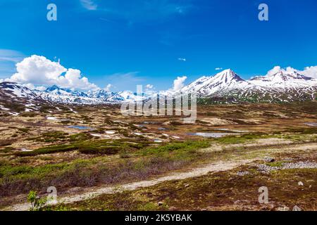 Panoramablick westlich vom Haines Highway in Richtung Tatshenshini-Alsek Provincial Park & Alsek Range; Alaska; USA Stockfoto