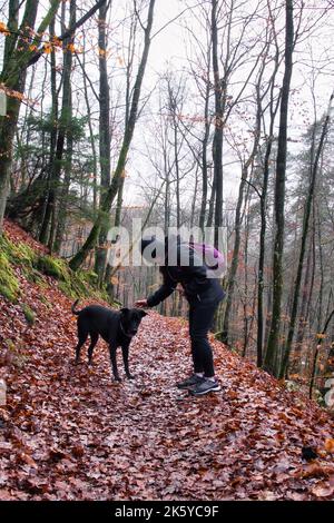 Hinterweidenthal, Deutschland - 1. Januar 2021: Frau beugte sich auf einem Wanderweg im Pfälzer Wald in der Nähe der Teufelslasche über den Streichelhund Stockfoto