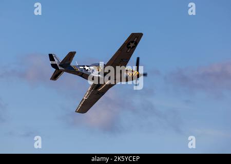 North American P-51 Mustang über Seattle WA Stockfoto