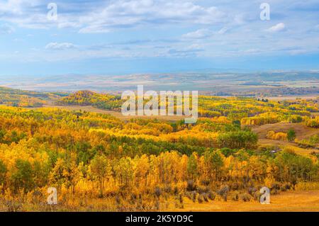 Atemberaubendes Panorama der Prärie- und Waldlandschaft in wunderschönen Herbstfarben. Blauer Himmel und Wolken ergänzen Herbstfarbe Outdoor-Hintergrund in der Nähe Stockfoto