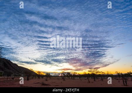 Atemberaubender Sonnenuntergang mit Makrelenhimmel über der Arookara Range, Simpson Desert, Australian Outback, Northern Territory, NT, Australien Stockfoto