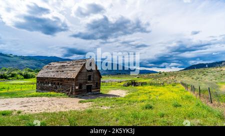 Große verlassene verfallene Scheune im Okanagen Valley zwischen den Städten Oliver und Osoyoos, British Columbia, Kanada Stockfoto