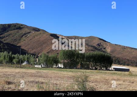 Kalmak Ashuu, Chong Kemin Valley, Tien Shan Mountains, Chui Region, Kirgisistan, Zentralasien Stockfoto