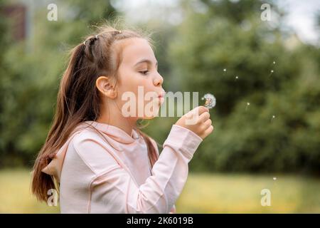 Süßes kleines Mädchen weht von weißem Dandelion am sonnigen Sommertag. Hochwertige Fotos Stockfoto