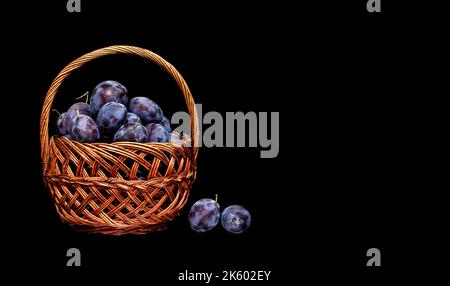 Bild von Früchten in einem Korb mit reifen Pflaumen auf schwarzem Hintergrund Stockfoto