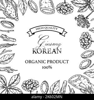 Quadratisches Ginseng-Design. Handgezeichnete botanische Vektorgrafik im Skizzenstil. Kann für Verpackung, Etikett, Abzeichen verwendet werden. Hintergrund der Kräutermedizin Stock Vektor