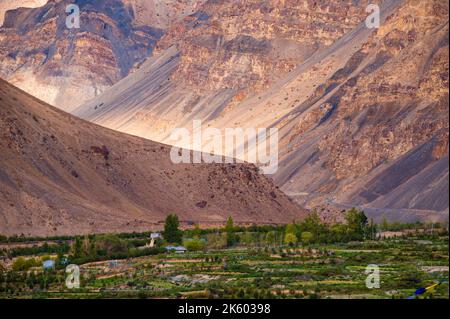 Eine malerische Aussicht auf die grünen Felder und das alte Kloster im Himalaya-Dorf Tabo im Spiti-Tal in Himachal Pradesh, Indien. Stockfoto