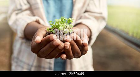 Landwirt hält Boden mit wachsenden Pflanzen. Hände eines Bauern, der Schmutz mit blühenden Pflanzen hält. Die Landwirtschaft in den Händen der Bauern gehalten. Bauer steht in einem Stockfoto