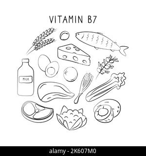 Vitamin B7 Biotin. Gruppen von gesunden Lebensmitteln, die Vitamine enthalten. Set aus Obst, Gemüse, Fleisch, Fisch und Milchprodukten Stock Vektor