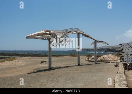 Luftaufnahme am Strand in Playa del Matorral in Morro Jable, Kanarische Insel Fuerteventura, Spanien. Stockfoto