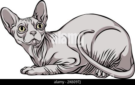 Bild einer Katze, Sphynx-Katze, Porträt, Illustration, Set, Farbe, schwarz, isoliert, einfach, Symbol, Kunst, Symbol, Grafik, Zeichnung Stock Vektor