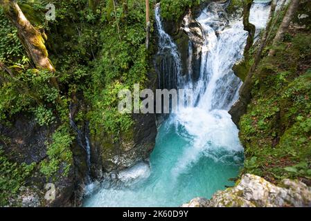 Wasserfall im Wald. Soča, Slowenien Stockfoto