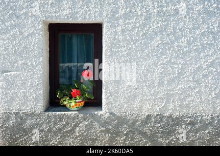 Cottage-Fenster mit roter Geranium Stockfoto