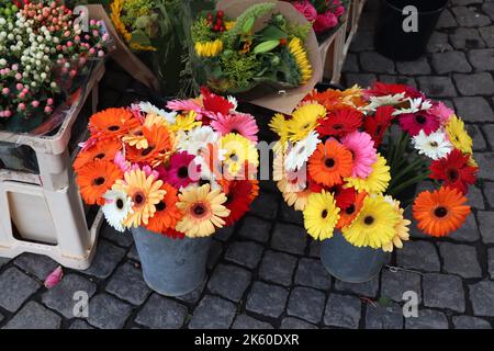 Blumengeschäft bereit Sträuße in Stockholm, Schweden. Blumengeschäft Wahl mit Gerbera Blumen. Stockfoto