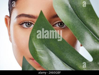 Nahaufnahme Porträt einer unbekannten Frau, die ihr Gesicht mit einem grünen Monstera Pflanzenblatt bedeckt. Kopfbild des kaukasischen Modells, das vor einem grauen Hintergrund in posiert Stockfoto