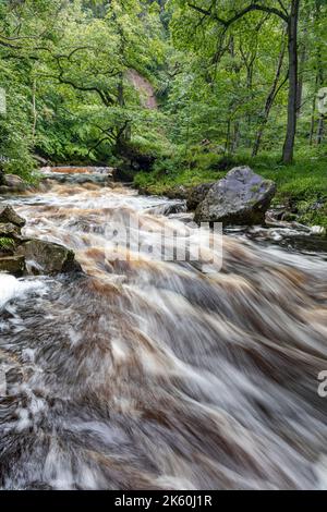 Das schnell fließende Wasser von West Beck am Mallyan Auslauf Nach sintflutartigen Sommerregen Stockfoto