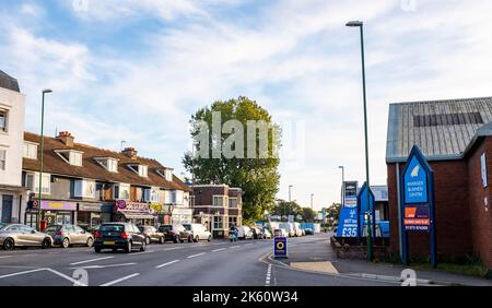 Brighton UK 11. October 2022 - Aktivisten, die als Shoreham Poplar Front bekannt sind, versuchen, einen bekannten Pappelbaum in Shoreham-by-Sea in der Nähe von Brighton vor dem Abschneiden durch Entwickler und den Adur District Council zu bewahren, um Platz für Wohnungen zu schaffen. : Credit Simon Dack / Alamy Live News Stockfoto