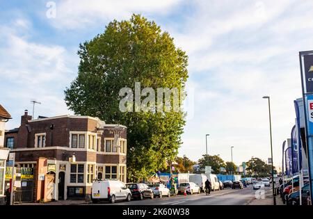 Brighton UK 11. October 2022 - Aktivisten, die als Shoreham Poplar Front bekannt sind, versuchen, einen bekannten Pappelbaum in Shoreham-by-Sea in der Nähe von Brighton vor dem Abschneiden durch Entwickler und den Adur District Council zu bewahren, um Platz für Wohnungen zu schaffen. : Credit Simon Dack / Alamy Live News Stockfoto