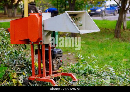 Tragbarer Holz-Zerkleinerer-Hackmaschine zum Baum Äste geschnitten zur Reduzierung von Holzspäne Stockfoto