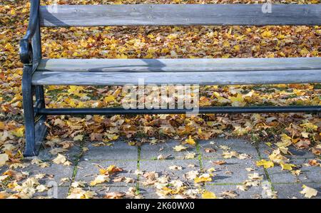 Holzbank mit herbstlichen Herbstblättern bedeckt. Stockfoto