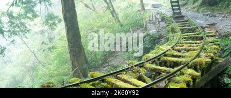 Schöner historischer Wanderweg Jianqing (Jiancing), die Waldeisenbahn von Taiwan Taipingshan National Forest Recreation Area. Stockfoto