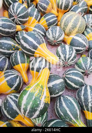 Vertikales Vollformat-Bild von grün und weiß gestreiften Kürbissen oder Squash Stockfoto