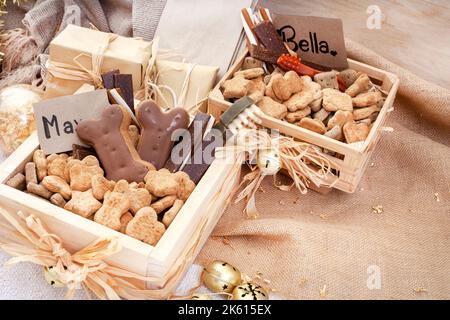 Hundefreuden für ein fantastisches Weihnachtsgeschenk für Haustiere. Rustikales Flach-Lay mit Eiswürmchen und Klingeln Stockfoto