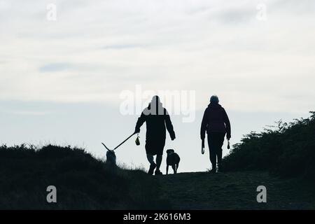 Silhouette von zwei Personen, die zwei Hunde an und aus der Leine führen, die jeweils eine Poo-Tasche tragen, die den verantwortungsvollen Hundebesitz widerspiegelt, Ilkley Moor, England, Großbritannien Stockfoto