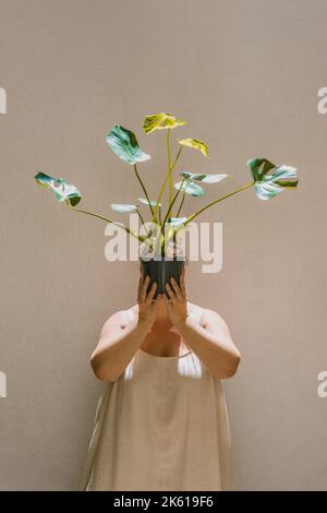 Anonyme übergewichtige Frau mit dunklem Haar im Kleid, das das Gesicht mit einer eingetopften Monstera deliciosa-Pflanze vor einer grauen Wand im Sonnenlicht bedeckt Stockfoto