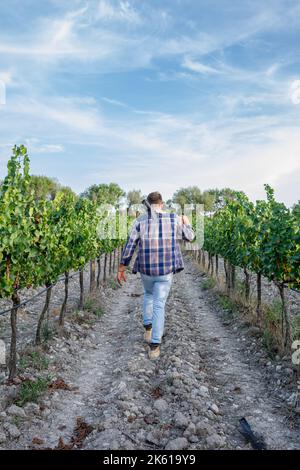 In voller Länge der Rückansicht junger männlicher Bauer in legerer Kleidung, der während der Arbeit in Ländern unter Reihen von Pflanzen mit Hacke in der Hand nach unten blickt Stockfoto