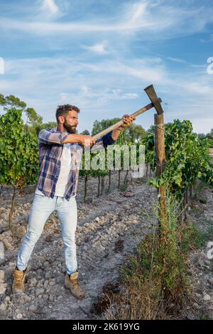 In voller Länge konzentrierter junger bärtiger ethnischer Bauer im karierten Hemd mit Axt, während er an sonnigen Tagen in den Ländern auf dem landwirtschaftlichen Feld arbeitete Stockfoto