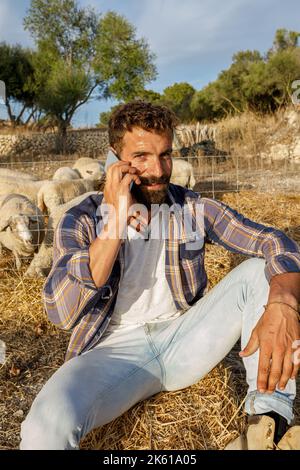 Mann in legerer Kleidung, der die Kamera ansieht und einen Anruf entgegennimmt, während er am Herbsttag auf trockenem Gras in der Nähe des Geheges mit weidenden weißen Schafen sitzt Stockfoto