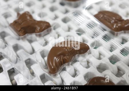 Wernigerode, Deutschland. 11. Oktober 2022. Ansicht einer Schokoladenfigur für einen Adventskalender. Die Produktion des Weihnachtskalenders befindet sich derzeit in der Endphase. Die Adventskalender und Weihnachtsschokoladen aus Wernigerode haben eine lange Tradition und werden in viele Länder exportiert. Quelle: Matthias Bein/dpa/Alamy Live News Stockfoto