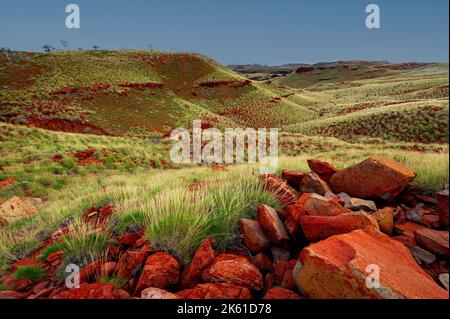 Spinifex Hills bei Chichester Range im Millstream Chichester National Park. Stockfoto