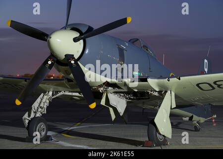 Hawker Sea Fury FB11 VR930, Navy Wings, RNAS Yeovilton Somerset, England, Vereinigtes Königreich. Stockfoto