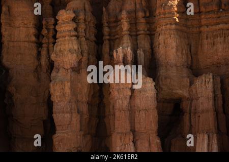 Schichten von Orange in den Hoodoos des Bryce Canyon National Park Stockfoto