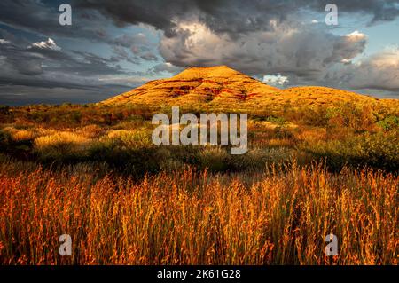 Frühes Licht auf einem Berg in der Hamersley Range. Stockfoto