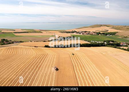 Luftaufnahme der Ernte eines Gerstenfeldes auf der Cote d'Opale, Frankreich, Pas de Calais, Sommer Stockfoto