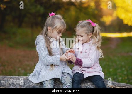 Zwei niedliche Mädchen essen Kekse, während sie auf einem Baumstamm im Herbstpark sitzen. Stockfoto