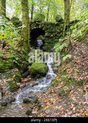 Eine Brücke über einen Bach im Stock-Ghyll-Wald in Ambleside, Lake District, Großbritannien. Stockfoto