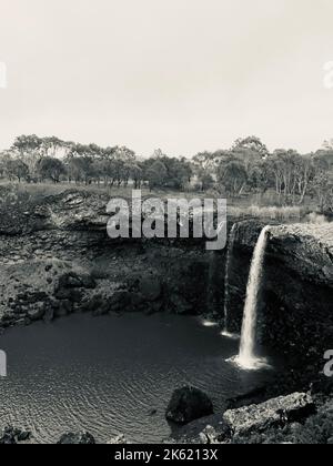 Eine vertikale Aufnahme einer kleinen Kaskade, die von einer felsigen Klippe auf einen Teich mit Bäumen und einem grünen Feld im Hintergrund fällt. Stockfoto