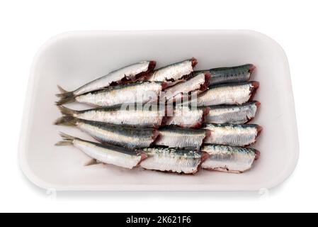 Sardinen zum Kochen in einem Kunststoffbehälter reinigen, der auf einem weißen Schneidepfad isoliert ist. Blauer italienischer Fisch Stockfoto