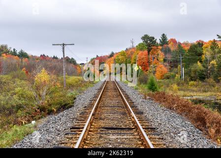 Eisenbahnstrecke, die an einem bewölkten Tag durch eine bewaldete Landschaft am Höhepunkt der Herbstfarben führt Stockfoto