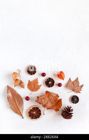 Herbstflachlage mit abgefallenen Blättern, trockenen Orangenscheiben und Physalis, weißem Hintergrund, Copyspace Stockfoto