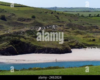 County Cork, Irland, 28. Mai 2022. Strauch-bedeckte Dünen am Ufer des Atlantischen Ozeans an einer Quelle. Ein weißer Mann geht am Ufer entlang. Grüne GRA Stockfoto