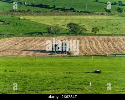 County Cork, Irland, 28. Mai 2022. Ein Siloernter produziert Tierfutter und entlädt es in den Traktor. Die Maschinen arbeiten auf dem Feld. Stockfoto