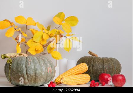 Konzept für Thanksgiving- und Halloween-Feierlichkeiten Herbstdekor Hausdekoration Früchte Kürbisse Maisäpfel auf einem weißen Tisch. Stockfoto