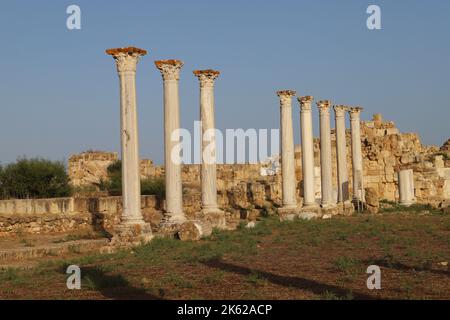 Römische Stadt Salamis in der Nähe von Famagusta (Gazimagusa) Türkisches Replublic von Nordzypern. Stockfoto