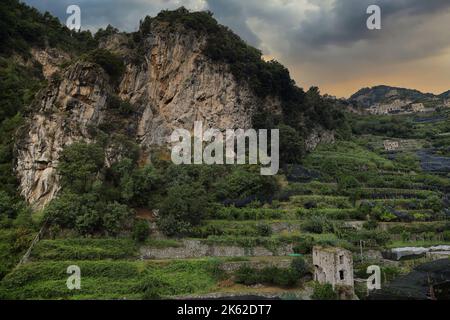 Blick auf die alten Zitronenhaine in Atrani, Italien Stockfoto